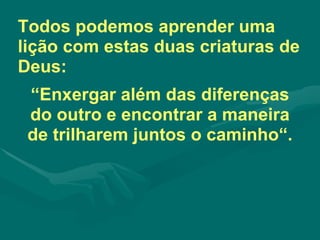 “ Enxergar além das diferenças do outro e encontrar a maneira de trilharem juntos o caminho“. Todos podemos aprender uma lição com estas duas criaturas de Deus: 