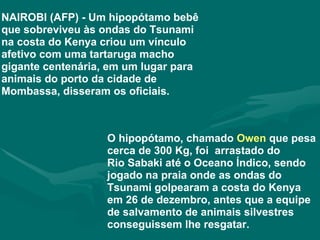NAIROBI (AFP) - Um hipopótamo bebê que sobreviveu às ondas do Tsunami na costa do Kenya criou um vínculo afetivo com uma tartaruga macho gigante centenária, em um lugar para animais do porto da cidade de Mombassa, disseram os oficiais. O hipopótamo, chamado  Owen  que   pesa cerca de 300 Kg, foi  arrastado do Rio Sabaki até o Oceano Índico, sendo jogado na praia onde as ondas do Tsunami golpearam a costa do Kenya em 26 de dezembro, antes que a equipe de salvamento de animais silvestres conseguissem lhe resgatar. 