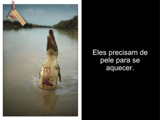 Eles precisam de pele para se aquecer. 