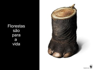 Florestas são para a  vida 