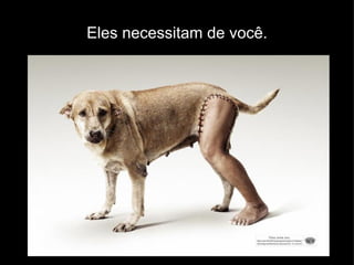 Eles necessitam de você. 