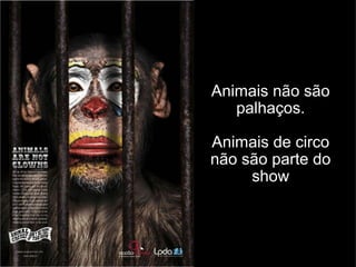 Animais não são palhaços. Animais de circo não são parte do show 