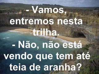 - Vamos, entremos nesta trilha. - Não, não está vendo que tem até teia de aranha?  