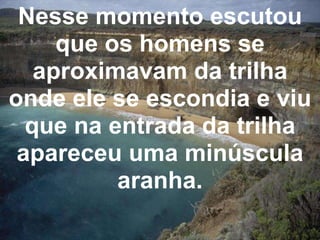 Nesse momento escutou que os homens se aproximavam da trilha onde ele se escondia e viu que na entrada da trilha apareceu uma minúscula aranha. 