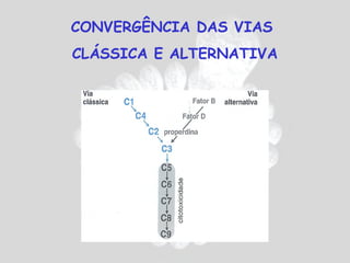 CONVERGÊNCIA DAS VIAS
CLÁSSICA E ALTERNATIVA
 