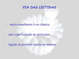 VIA DAS LECTINAS




    -    muito semelhante à via clássica


-       sem a participação de anticorpos


-       ligação da proteína ligante de manose
 