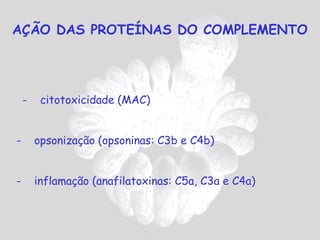 AÇÃO DAS PROTEÍNAS DO COMPLEMENTO




    -    citotoxicidade (MAC)


-       opsonização (opsoninas: C3b e C4b)


-       inflamação (anafilatoxinas: C5a, C3a e C4a)
 