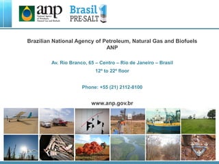 Brazilian National Agency of Petroleum, Natural Gas and Biofuels
ANP
Av. Rio Branco, 65 – Centro – Rio de Janeiro – Brasil
12º to 22º floor
Phone: +55 (21) 2112-8100
www.anp.gov.br
 