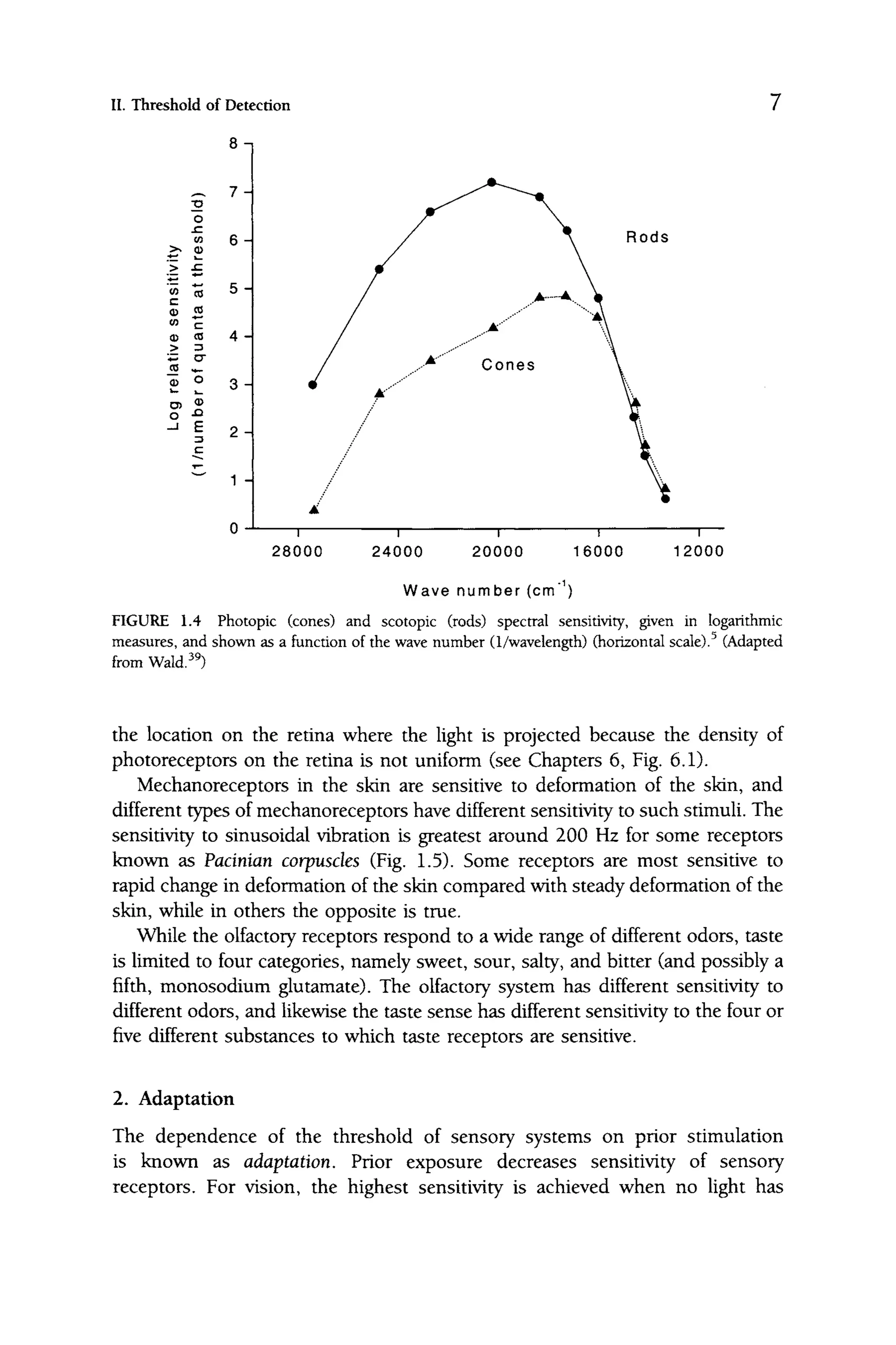 II. Threshold of Detection
8 -|
— 7-1
o
(0
>» CD
"w "
c
o
c
(
O ^
0) C
O
> 3
o -Q
-J E
5
4
3-1
2 J
1 -I
0
Rods
1
28000 24000 20000
1
16000
1
12000
Wave number (cm" )
FIGURE 1.4 Photopic (cones) and scotopic (rods) spectral sensitivity, given in logarithmic
measures, and shown as a hinction of the wave number (1/wavelength) (horizontal scale).^ (Adapted
from Wald.^^)
the location on the retina where the light is projected because the density of
photoreceptors on the retina is not uniform (see Chapters 6, Fig. 6.1).
Mechanoreceptors in the skin are sensitive to deformation of the skin, and
different types of mechanoreceptors have different sensitivity to such stimuli. The
sensitivity to sinusoidal vibration is greatest around 200 Hz for some receptors
known as Pacinian corpuscles (Fig. 1.5). Some receptors are most sensitive to
rapid change in deformation of the skin compared with steady deformation of the
skin, while in others the opposite is true.
While the olfactory receptors respond to a wide range of different odors, taste
is limited to four categories, namely sweet, sour, salty, and bitter (and possibly a
fifth, monosodium glutamate). The olfactory system has different sensitivity to
different odors, and likewise the taste sense has different sensitivity to the four or
five different substances to which taste receptors are sensitive.
2. Adaptation
The dependence of the threshold of sensory systems on prior stimulation
is known as adaptation. Prior exposure decreases sensitivity of sensory
receptors. For vision, the highest sensitivity is achieved when no light has
 
