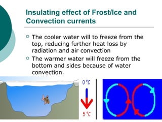 Insulating effect of Frost/Ice and
Convection currents
 The cooler water will to freeze from the
top, reducing further heat loss by
radiation and air convection
 The warmer water will freeze from the
bottom and sides because of water
convection.
 