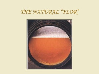 THE NATURAL “FLOR”
 