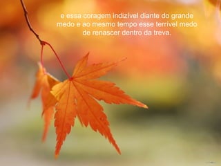 e essa coragem indizível diante do grande
medo e ao mesmo tempo esse terrível medo
        de renascer dentro da treva.
 