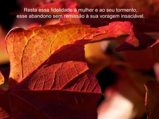 Resta essa fidelidade à mulher e ao seu tormento,
esse abandono sem remissão à sua voragem insaciável.
 