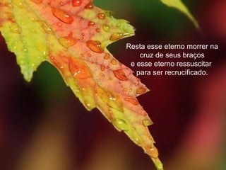Resta esse eterno morrer na
    cruz de seus braços
 e esse eterno ressuscitar
   para ser recrucificado.
 