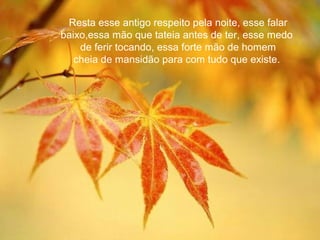 Resta esse antigo respeito pela noite, esse falar
baixo,essa mão que tateia antes de ter, esse medo
    de ferir tocando, essa forte mão de homem
   cheia de mansidão para com tudo que existe.
 