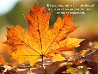 E essa pequenina luz indecifrável
 a que às vezes os poetas dão o
       nome de esperança
 