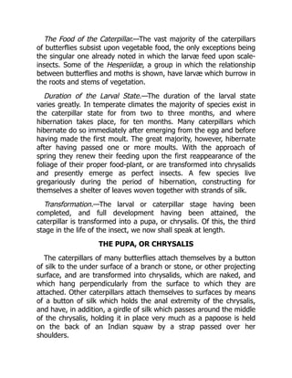 The Food of the Caterpillar.—The vast majority of the caterpillars
of butterflies subsist upon vegetable food, the only exceptions being
the singular one already noted in which the larvæ feed upon scale-
insects. Some of the Hesperiidæ, a group in which the relationship
between butterflies and moths is shown, have larvæ which burrow in
the roots and stems of vegetation.
Duration of the Larval State.—The duration of the larval state
varies greatly. In temperate climates the majority of species exist in
the caterpillar state for from two to three months, and where
hibernation takes place, for ten months. Many caterpillars which
hibernate do so immediately after emerging from the egg and before
having made the first moult. The great majority, however, hibernate
after having passed one or more moults. With the approach of
spring they renew their feeding upon the first reappearance of the
foliage of their proper food-plant, or are transformed into chrysalids
and presently emerge as perfect insects. A few species live
gregariously during the period of hibernation, constructing for
themselves a shelter of leaves woven together with strands of silk.
Transformation.—The larval or caterpillar stage having been
completed, and full development having been attained, the
caterpillar is transformed into a pupa, or chrysalis. Of this, the third
stage in the life of the insect, we now shall speak at length.
THE PUPA, OR CHRYSALIS
The caterpillars of many butterflies attach themselves by a button
of silk to the under surface of a branch or stone, or other projecting
surface, and are transformed into chrysalids, which are naked, and
which hang perpendicularly from the surface to which they are
attached. Other caterpillars attach themselves to surfaces by means
of a button of silk which holds the anal extremity of the chrysalis,
and have, in addition, a girdle of silk which passes around the middle
of the chrysalis, holding it in place very much as a papoose is held
on the back of an Indian squaw by a strap passed over her
shoulders.
 