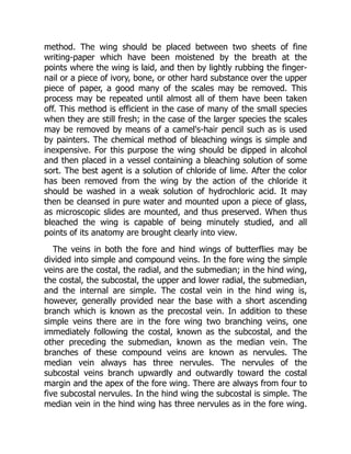 method. The wing should be placed between two sheets of fine
writing-paper which have been moistened by the breath at the
points where the wing is laid, and then by lightly rubbing the finger-
nail or a piece of ivory, bone, or other hard substance over the upper
piece of paper, a good many of the scales may be removed. This
process may be repeated until almost all of them have been taken
off. This method is efficient in the case of many of the small species
when they are still fresh; in the case of the larger species the scales
may be removed by means of a camel's-hair pencil such as is used
by painters. The chemical method of bleaching wings is simple and
inexpensive. For this purpose the wing should be dipped in alcohol
and then placed in a vessel containing a bleaching solution of some
sort. The best agent is a solution of chloride of lime. After the color
has been removed from the wing by the action of the chloride it
should be washed in a weak solution of hydrochloric acid. It may
then be cleansed in pure water and mounted upon a piece of glass,
as microscopic slides are mounted, and thus preserved. When thus
bleached the wing is capable of being minutely studied, and all
points of its anatomy are brought clearly into view.
The veins in both the fore and hind wings of butterflies may be
divided into simple and compound veins. In the fore wing the simple
veins are the costal, the radial, and the submedian; in the hind wing,
the costal, the subcostal, the upper and lower radial, the submedian,
and the internal are simple. The costal vein in the hind wing is,
however, generally provided near the base with a short ascending
branch which is known as the precostal vein. In addition to these
simple veins there are in the fore wing two branching veins, one
immediately following the costal, known as the subcostal, and the
other preceding the submedian, known as the median vein. The
branches of these compound veins are known as nervules. The
median vein always has three nervules. The nervules of the
subcostal veins branch upwardly and outwardly toward the costal
margin and the apex of the fore wing. There are always from four to
five subcostal nervules. In the hind wing the subcostal is simple. The
median vein in the hind wing has three nervules as in the fore wing.
 