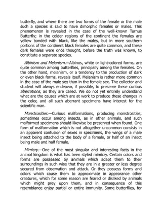 butterfly, and where there are two forms of the female or the male
such a species is said to have dimorphic females or males. This
phenomenon is revealed in the case of the well-known Turnus
Butterfly; in the colder regions of the continent the females are
yellow banded with black, like the males, but in more southern
portions of the continent black females are quite common, and these
dark females were once thought, before the truth was known, to
constitute a separate species.
Albinism and Melanism.—Albinos, white or light-colored forms, are
quite common among butterflies, principally among the females. On
the other hand, melanism, or a tendency to the production of dark
or even black forms, reveals itself. Melanism is rather more common
in the case of the male sex than in the female sex. The collector and
student will always endeavor, if possible, to preserve these curious
aberrations, as they are called. We do not yet entirely understand
what are the causes which are at work to produce these changes in
the color, and all such aberrant specimens have interest for the
scientific man.
Monstrosities.—Curious malformations, producing monstrosities,
sometimes occur among insects, as in other animals, and such
malformed specimens should likewise be preserved when found. One
form of malformation which is not altogether uncommon consists in
an apparent confusion of sexes in specimens, the wings of a male
insect being attached to the body of a female, or half of an insect
being male and half female.
Mimicry.—One of the most singular and interesting facts in the
animal kingdom is what has been styled mimicry. Certain colors and
forms are possessed by animals which adapt them to their
surroundings in such wise that they are in a greater or less degree
secured from observation and attack. Or they possess forms and
colors which cause them to approximate in appearance other
creatures, which for some reason are feared or disliked by animals
which might prey upon them, and in consequence of this
resemblance enjoy partial or entire immunity. Some butterflies, for
 