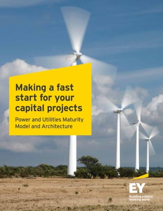 Making a fast
start for your
capital projects
Power and Utilities Maturity
Model and Architecture
 