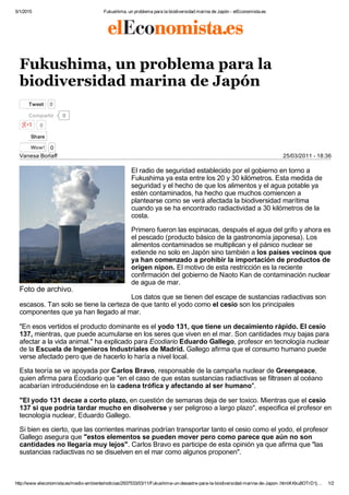 5/1/2015 Fukushima, un problema para la biodiversidad marina de Japón ­ elEconomista.es
http://www.eleconomista.es/medio­ambiente/noticias/2937533/03/11/Fukushima­un­desastre­para­la­biodiversidad­marina­de­Japon­.html#.Kku8OTrD1j… 1/2
Vanesa Borlaff 25/03/2011 ­ 18:36
Foto de archivo.
Fukushima, un problema para la
biodiversidad marina de Japón
Tweet 0
0
El radio de seguridad establecido por el gobierno en torno a
Fukushima ya esta entre los 20 y 30 kilómetros. Esta medida de
seguridad y el hecho de que los alimentos y el agua potable ya
estén contaminados, ha hecho que muchos comiencen a
plantearse como se verá afectada la biodiversidad marítima
cuando ya se ha encontrado radiactividad a 30 kilómetros de la
costa.
Primero fueron las espinacas, después el agua del grifo y ahora es
el pescado (producto básico de la gastronomía japonesa). Los
alimentos contaminados se multiplican y el pánico nuclear se
extiende no solo en Japón sino también a los países vecinos que
ya han comenzado a prohibir la importación de productos de
origen nipon. El motivo de esta restricción es la reciente
confirmación del gobierno de Naoto Kan de contaminación nuclear
de agua de mar.
Los datos que se tienen del escape de sustancias radiactivas son
escasos. Tan solo se tiene la certeza de que tanto el yodo como el cesio son los principales
componentes que ya han llegado al mar.
"En esos vertidos el producto dominante es el yodo 131, que tiene un decaimiento rápido. El cesio
137, mientras, que puede acumularse en los seres que viven en el mar. Son cantidades muy bajas para
afectar a la vida animal." ha explicado para Ecodiario Eduardo Gallego, profesor en tecnología nuclear
de la Escuela de Ingenieros Industriales de Madrid. Gallego afirma que el consumo humano puede
verse afectado pero que de hacerlo lo haría a nivel local.
Esta teoría se ve apoyada por Carlos Bravo, responsable de la campaña nuclear de Greenpeace,
quien afirma para Ecodiario que "en el caso de que estas sustancias radiactivas se filtrasen al océano
acabarían introduciéndose en la cadena trófica y afectando al ser humano".
"El yodo 131 decae a corto plazo, en cuestión de semanas deja de ser toxico. Mientras que el cesio
137 si que podría tardar mucho en disolverse y ser peligroso a largo plazo", especifica el profesor en
tecnología nuclear, Eduardo Gallego.
Si bien es cierto, que las corrientes marinas podrían transportar tanto el cesio como el yodo, el profesor
Gallego asegura que "estos elementos se pueden mover pero como parece que aún no son
cantidades no llegaría muy lejos". Carlos Bravo es participe de esta opinión ya que afirma que "las
sustancias radiactivas no se disuelven en el mar como algunos proponen".
0Compartir
Share
Wow! 0
 