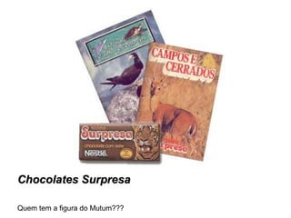 Chocolates SurpresaChocolates Surpresa
Quem tem a figura do Mutum???
 
