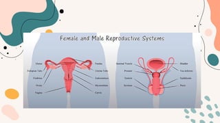Reproductive-System-Ppt [Autosaved].pptx