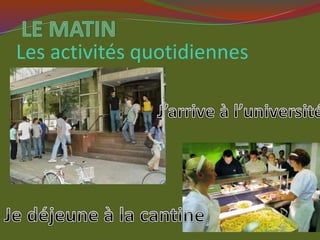 Les activités quotidiennes
 