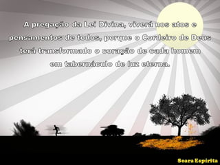 Harmonia na Diversidade