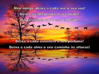 Harmonia na Diversidade