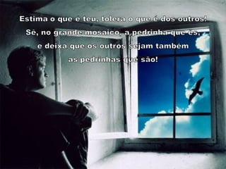 Harmonia na Diversidade