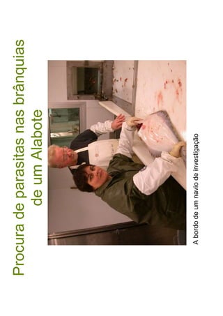 Abordodeumnaviodeinvestigação
 