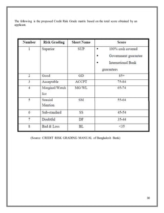Term Paper on Evaluation of Credit Assessment & Risk Grading Management ...