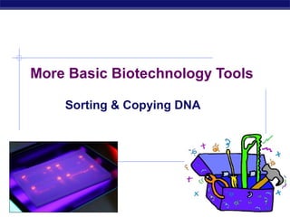 More Basic Biotechnology Tools

             Sorting & Copying DNA




AP Biology                           2007-2008
 