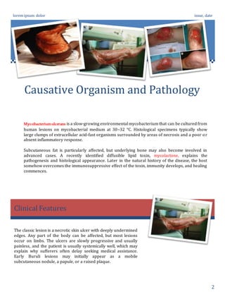 lorem ipsum dolor issue, date
2
Causative Organism and Pathology
Clinical Features
Mycobacteriumulcerans is a slow-growing environmental mycobacterium that can be cultured from
human lesions on mycobacterial medium at 30–32 °C. Histological specimens typically show
large clumps of extracellular acid-fast organisms surrounded by areas of necrosis and a poor or
absent inflammatory response.
Subcutaneous fat is particularly affected, but underlying bone may also become involved in
advanced cases. A recently identified diffusible lipid toxin, mycolactone, explains the
pathogenesis and histological appearance. Later in the natural history of the disease, the host
somehow overcomes the immunosuppressive effect of the toxin, immunity develops, and healing
commences.
The classic lesion is a necrotic skin ulcer with deeply undermined
edges. Any part of the body can be affected, but most lesions
occur on limbs. The ulcers are slowly progressive and usually
painless, and the patient is usually systemically well, which may
explain why sufferers often delay seeking medical assistance.
Early Buruli lesions may initially appear as a mobile
subcutaneous nodule, a papule, or a raised plaque.
 
