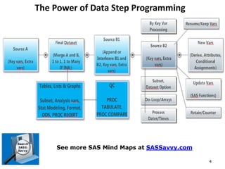 Habits of Effective SAS Programmers | PDF