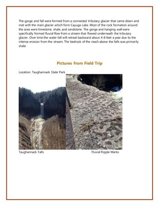 The gorge and fall were formed from a connected tributary glacier that came down and
met with the main glacier which form Cayuga Lake. Most of the rock formation around
the area were limestone, shale, and sandstone. The gorge and hanging wall were
specifically formed fluvial flow from a stream that flowed underneath the tributary
glacier. Over time the water fall will retreat backward about 4-8 feet a year due to the
intense erosion from the stream. The bedrock of the reach above the falls was primarily
shale
Pictures from Field Trip
Location: Taughannack State Park
Taughannack Falls Fluvial Ripple Marks
 