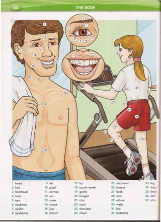 66 word by word picture dictionary second edition red (1)