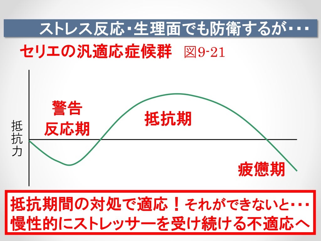 包括適応度