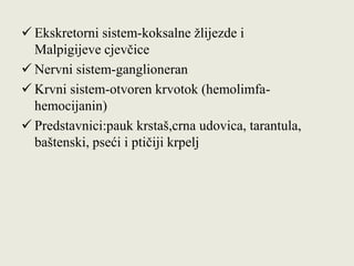  Ekskretorni sistem-koksalne žlijezde i
Malpigijeve cjevčice
 Nervni sistem-ganglioneran
 Krvni sistem-otvoren krvotok (hemolimfa-
hemocijanin)
 Predstavnici:pauk krstaš,crna udovica, tarantula,
baštenski, pseći i ptičiji krpelj
 