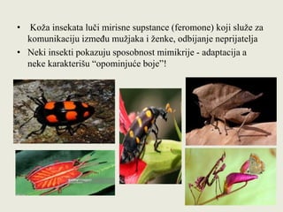 • Koža insekata luči mirisne supstance (feromone) koji služe za
komunikaciju između mužjaka i ženke, odbijanje neprijatelja
• Neki insekti pokazuju sposobnost mimikrije - adaptacija a
neke karakterišu “opominjuće boje”!
 
