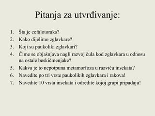 Pitanja za utvrđivanje:
1. Šta je cefalotoraks?
2. Kako dijelimo zglavkare?
3. Koji su paukoliki zglavkari?
4. Čime se objašnjava nagli razvoj čula kod zglavkara u odnosu
na ostale beskičmenjake?
5. Kakva je to nepotpuna metamorfoza u razviću insekata?
6. Navedite po tri vrste paukolikih zglavkara i rakova!
7. Navedite 10 vrsta insekata i odredite kojoj grupi pripadaju!
 