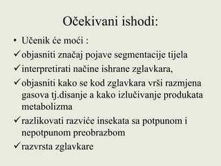Očekivani ishodi:
• Učenik će moći :
objasniti značaj pojave segmentacije tijela
interpretirati načine ishrane zglavkara,
objasniti kako se kod zglavkara vrši razmjena
gasova tj.disanje a kako izlučivanje produkata
metabolizma
razlikovati razviće insekata sa potpunom i
nepotpunom preobrazbom
razvrsta zglavkare
 