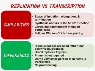 DNA Transcription and RNA Processing | PDF