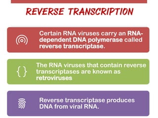 DNA Transcription and RNA Processing | PDF