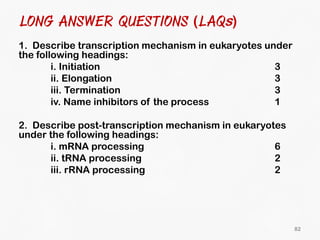 DNA Transcription and RNA Processing | PDF
