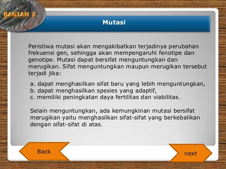67.muhammad fikri romdoni