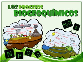 Los   procesos BIOGEOQUÍMICOS H 2 O s P N c O 