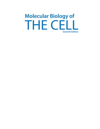 Molecular Biology of the Cell 7th Edition Bruce Alberts | PDF