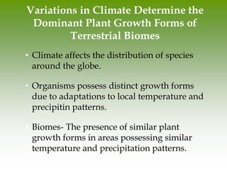 Biome Variation Energy Trophic levels 01232343456789.ppt